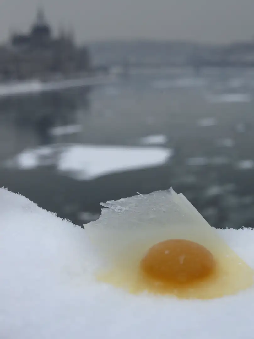 Egg the Flow photograph